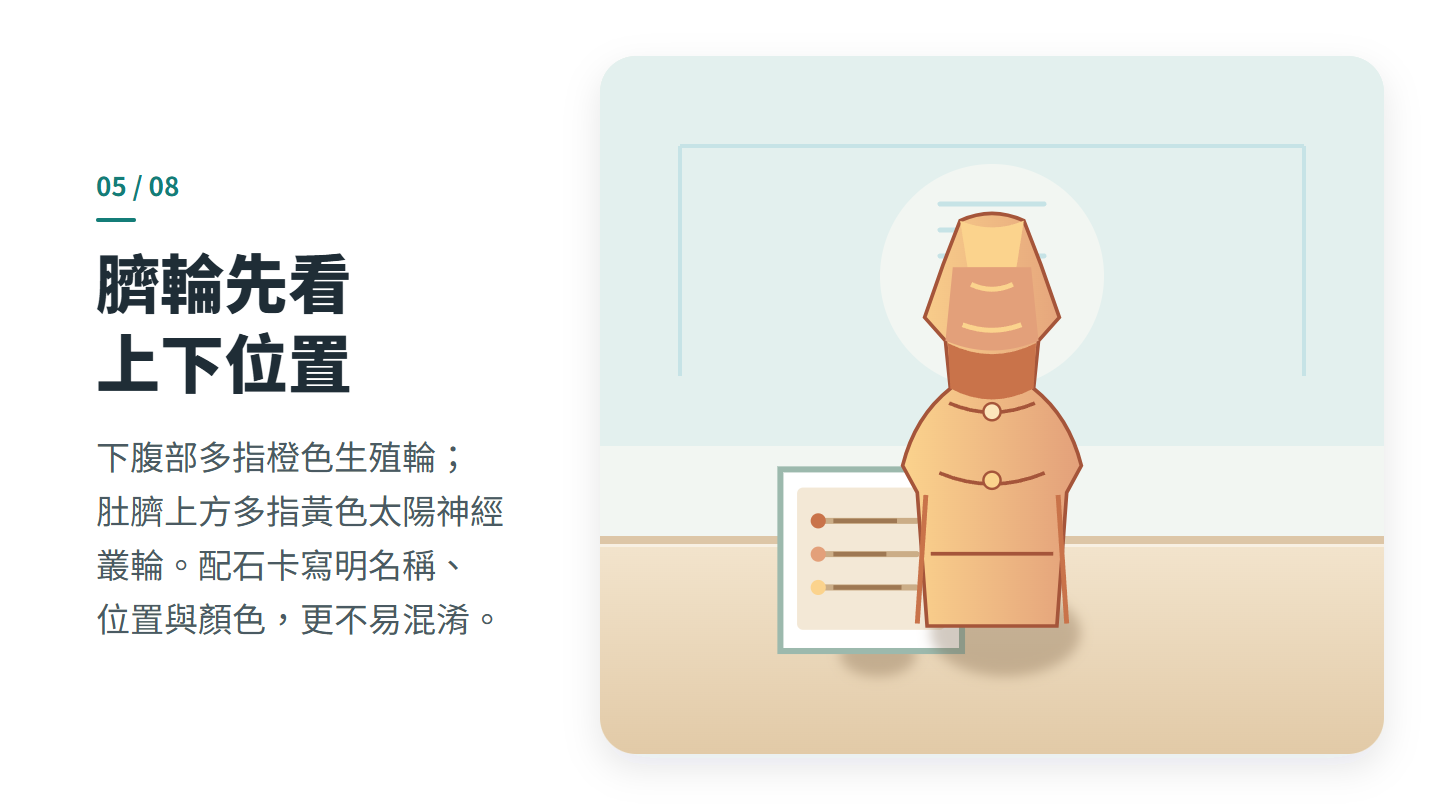 臍輪先看 上下位置