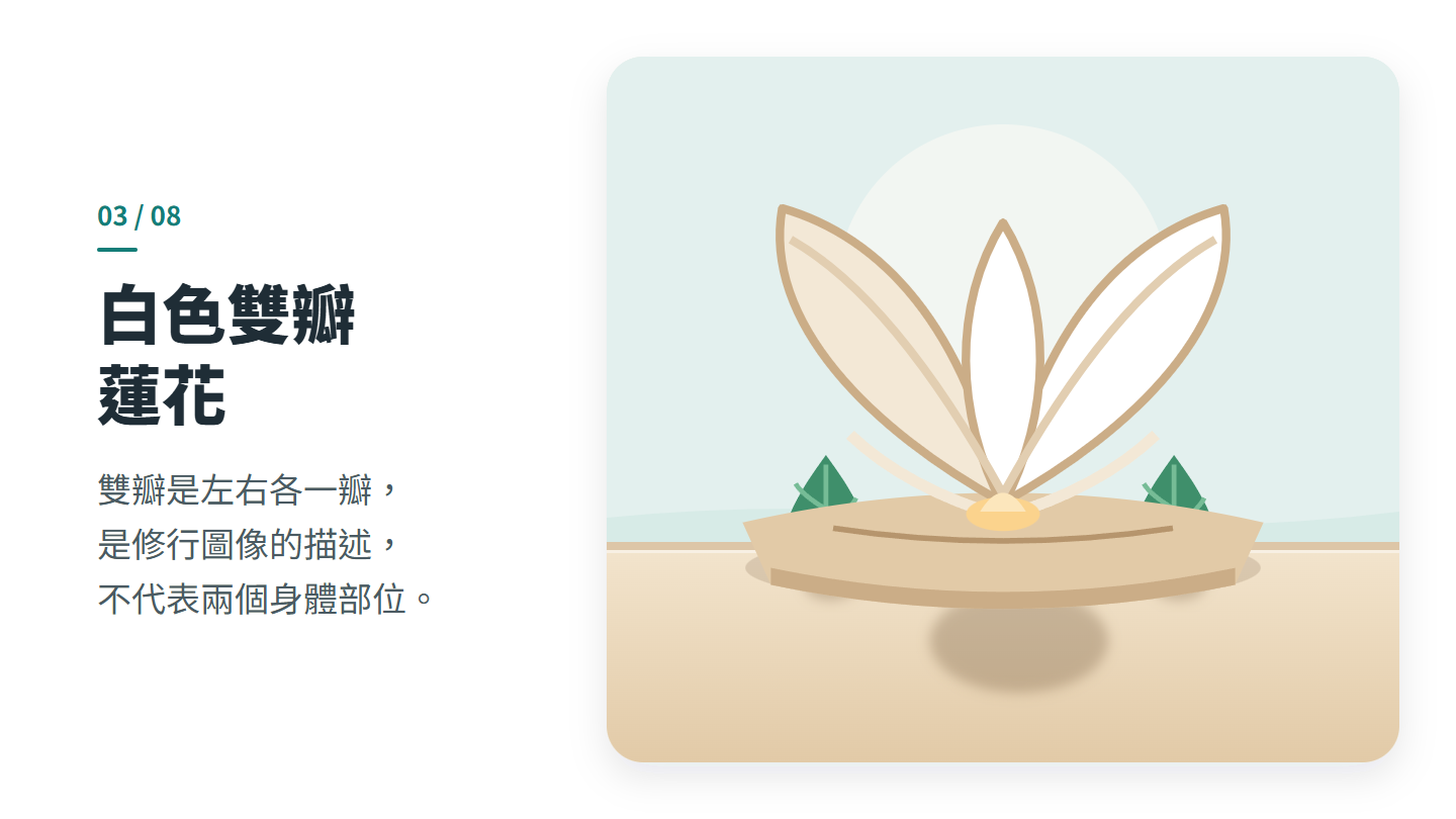 白色雙瓣 蓮花