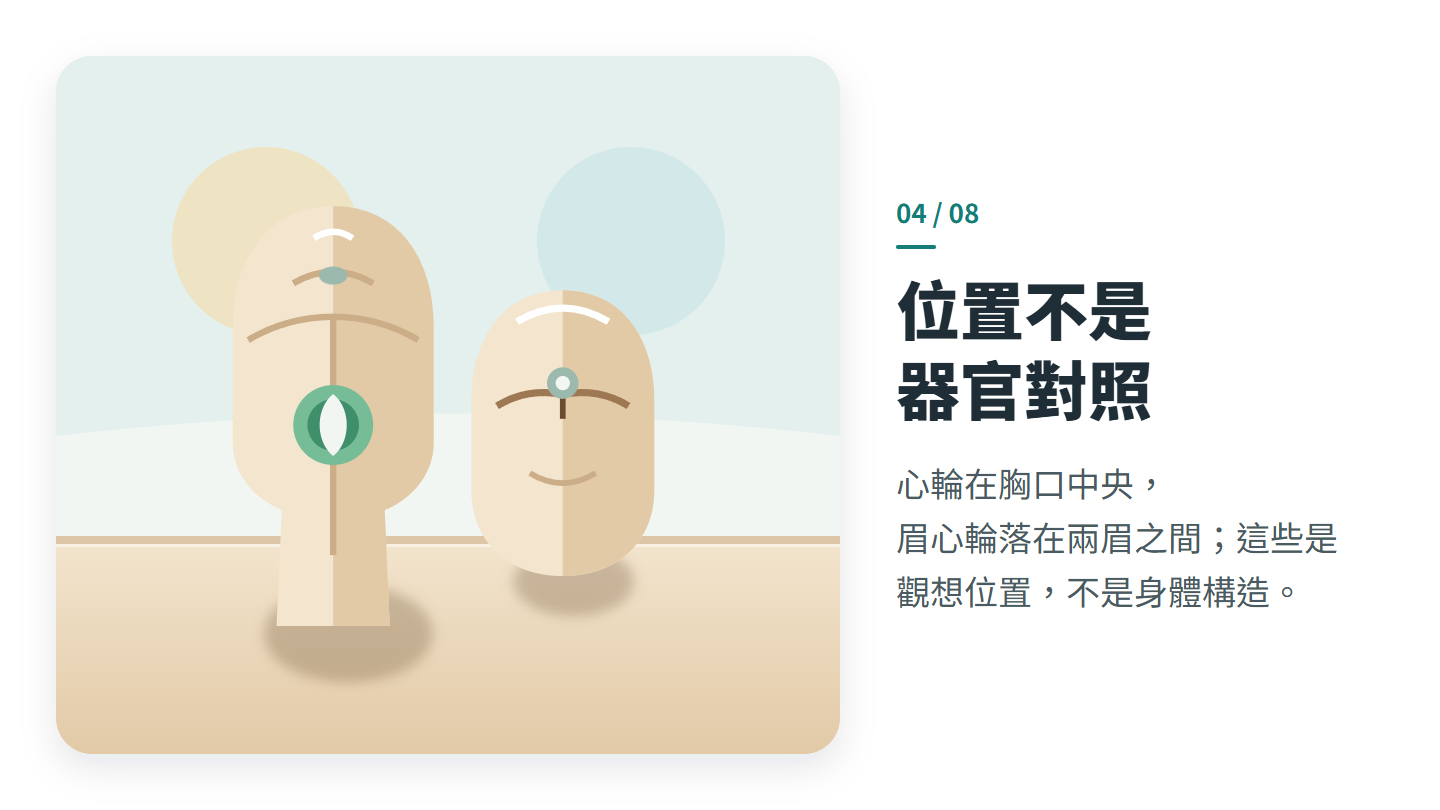 位置不是 器官對照