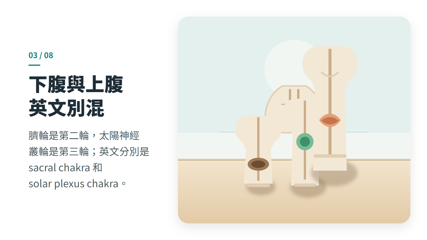 下腹與上腹 英文別混