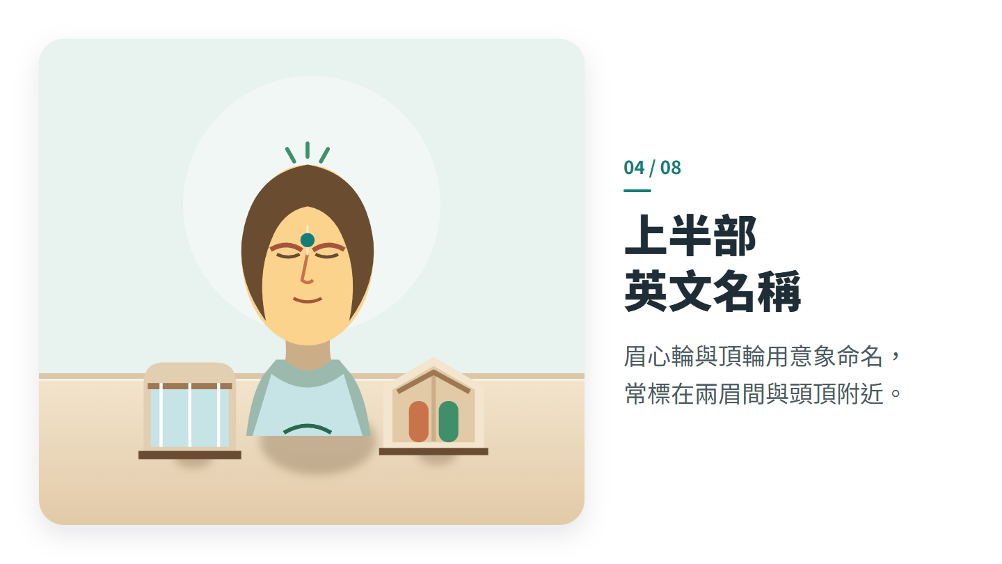 上半部 英文名稱