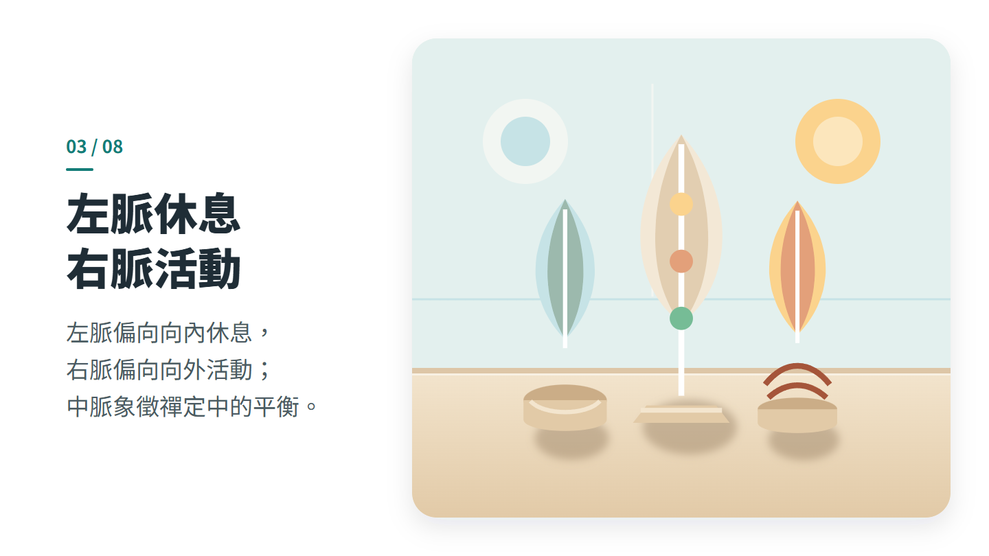 左脈休息 右脈活動