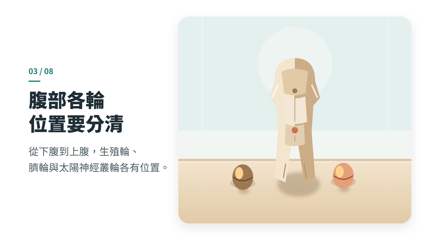 腹部各輪 位置要分清